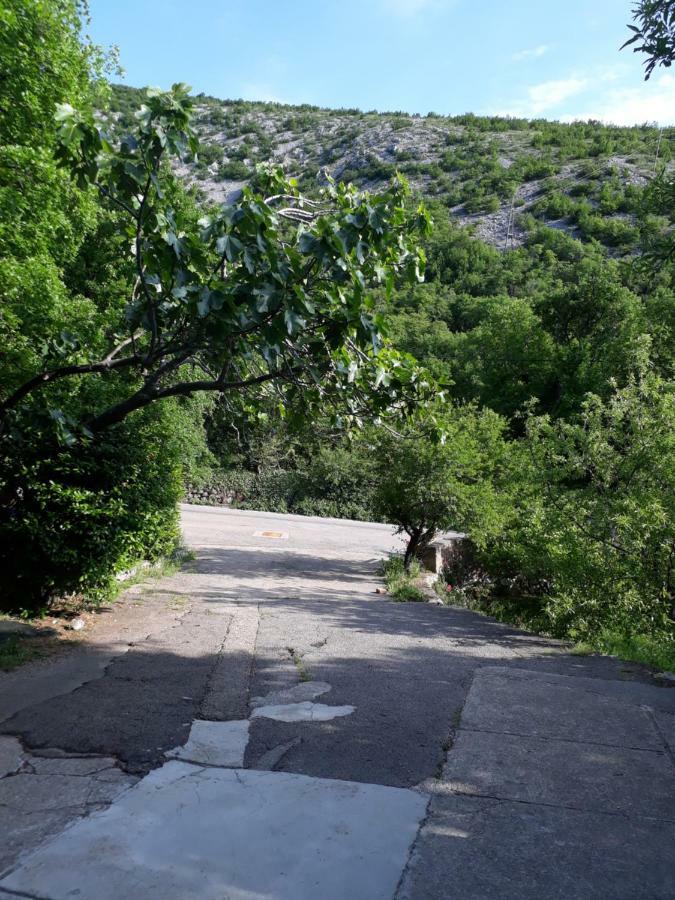 Lucija * Senj (Lika-Senj)