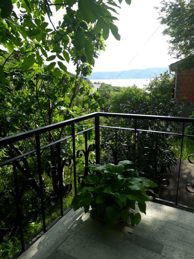 Lucija Apartment
