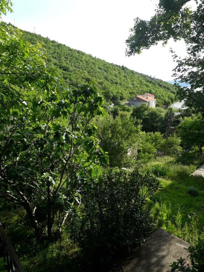 Lucija Apartment Senj (Lika-Senj)